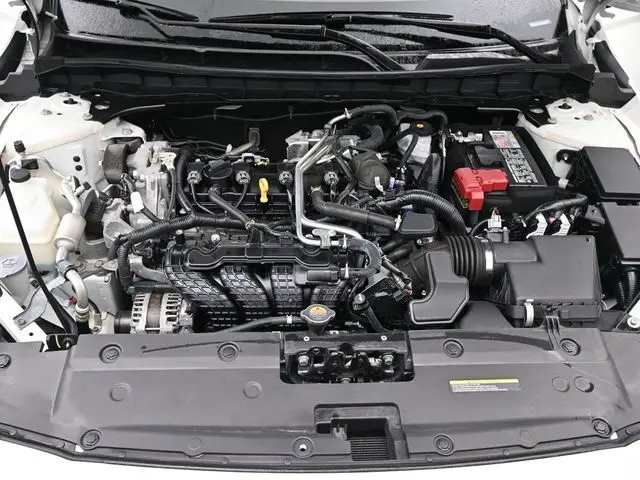 image-19