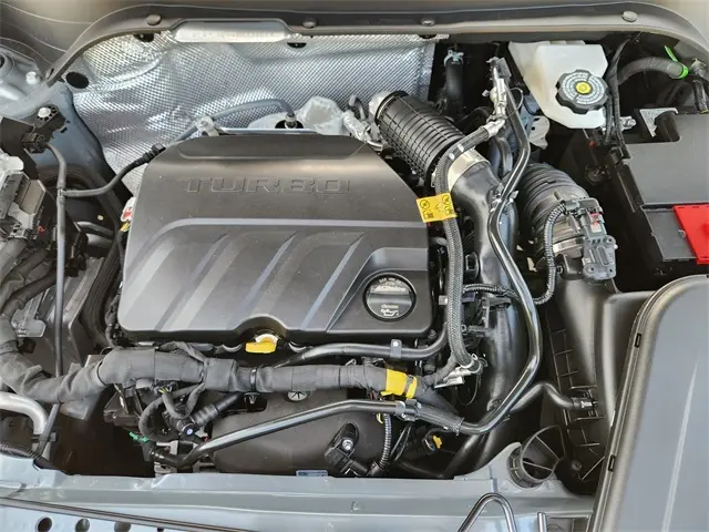 image-19