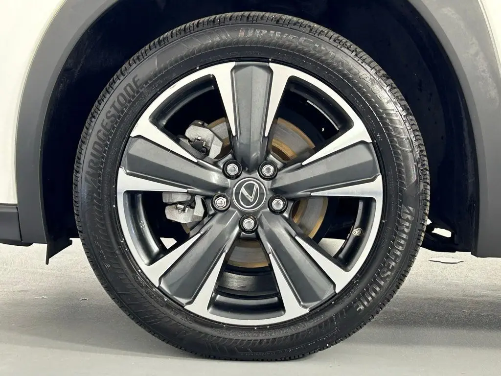2021 Lexus UX 250h photo 36