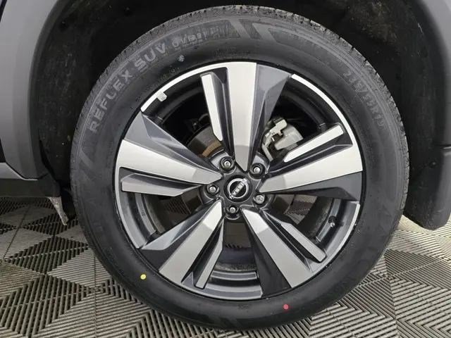 image-19