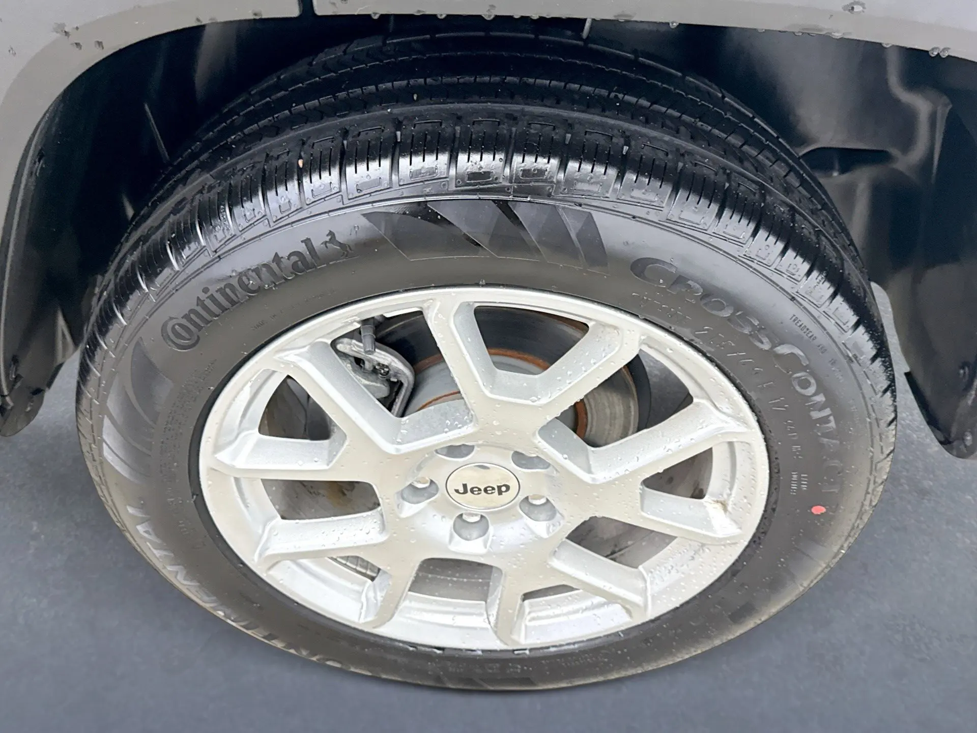 image-19