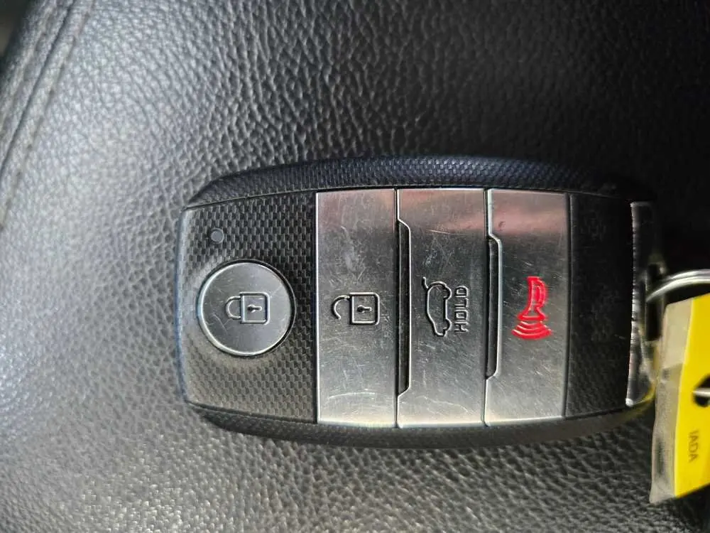 image-19