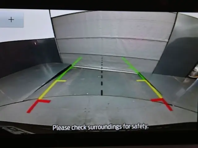 image-19