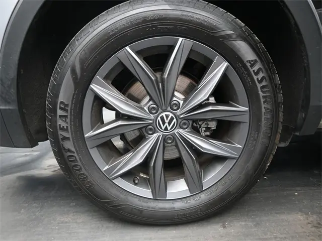 image-19