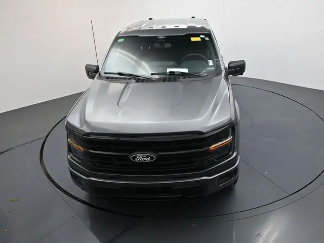 image-19