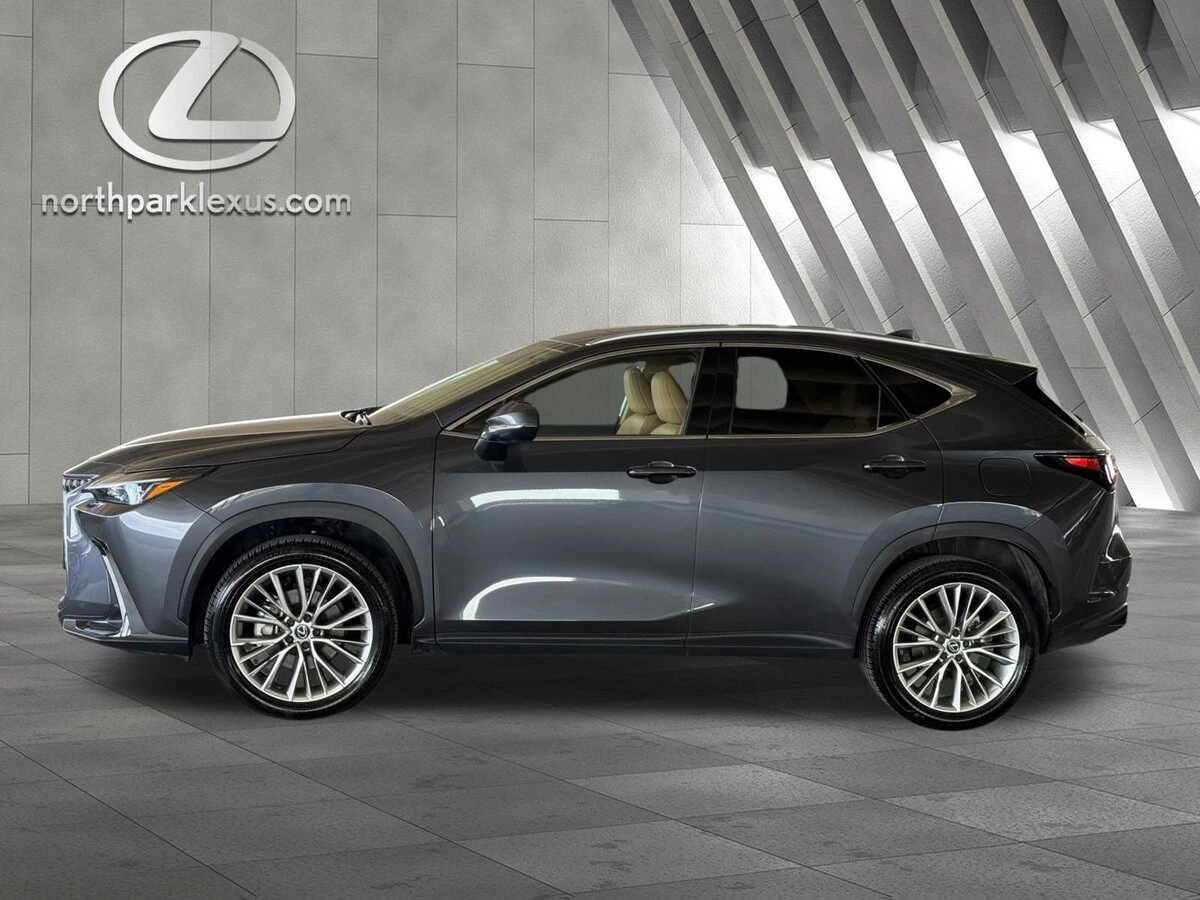 2025 Lexus NX
