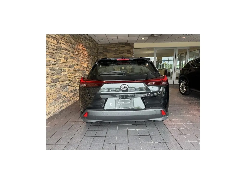image-10