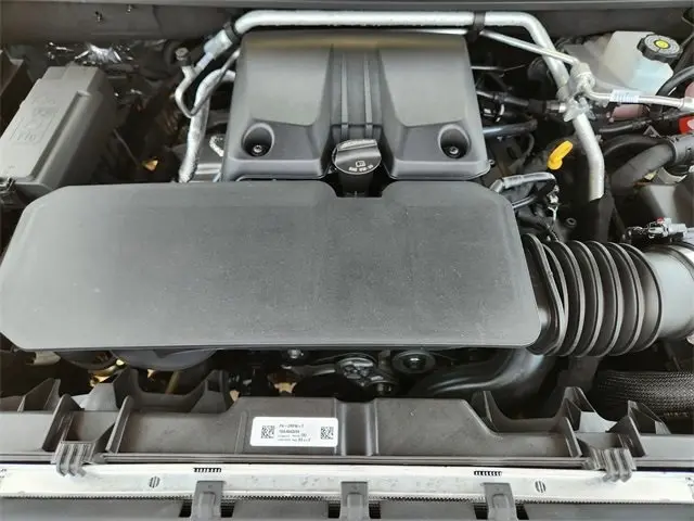 image-19