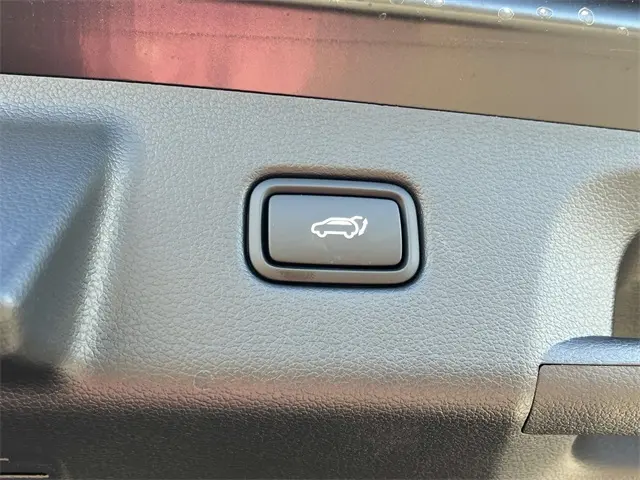 image-19