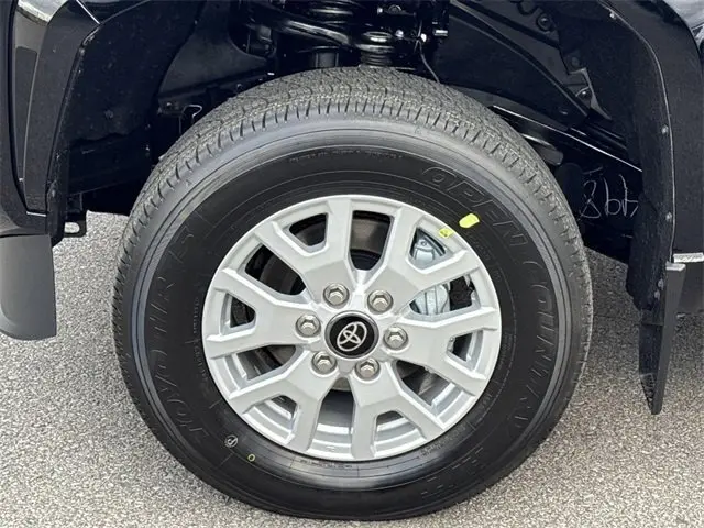 image-19
