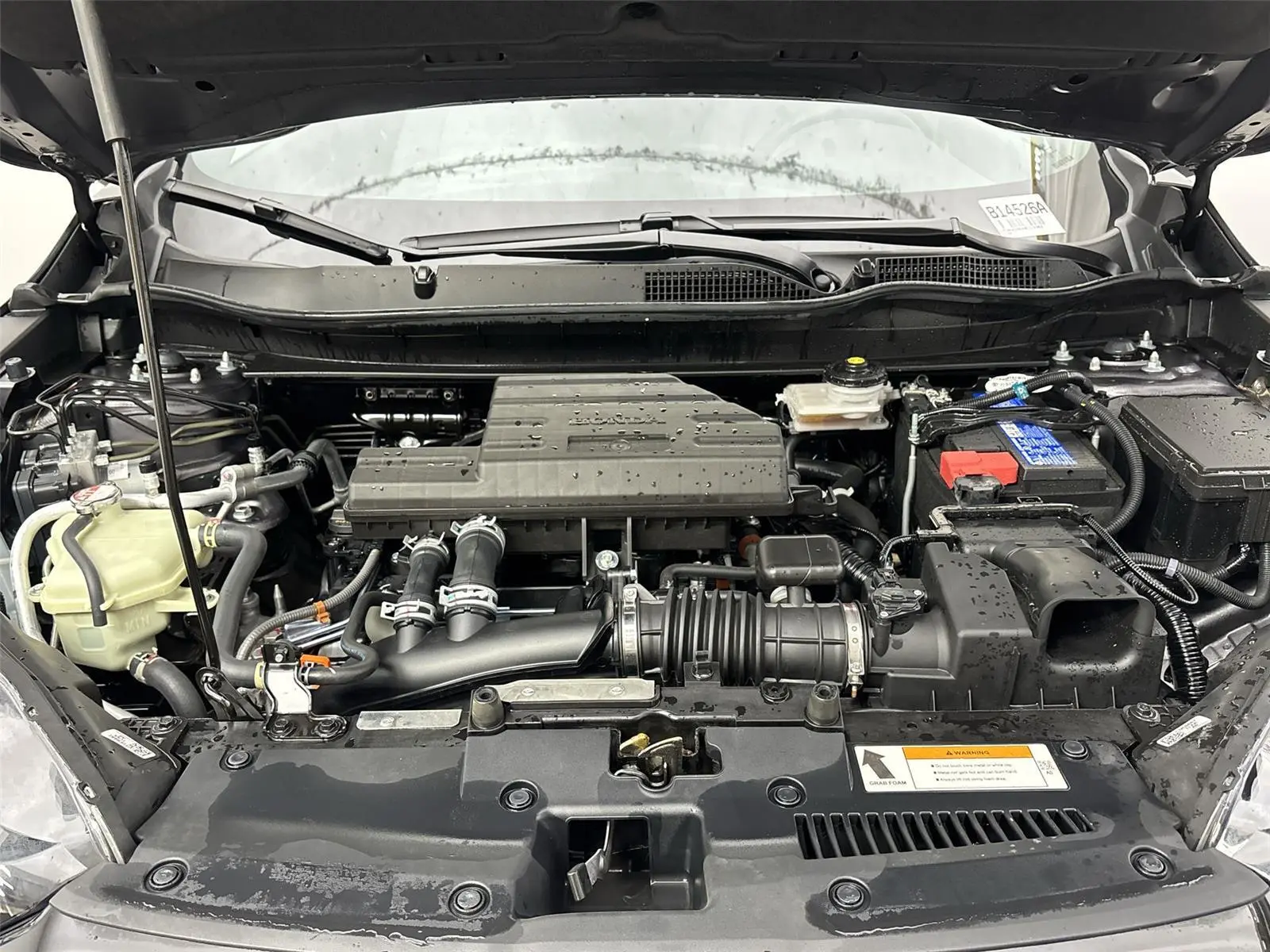image-19