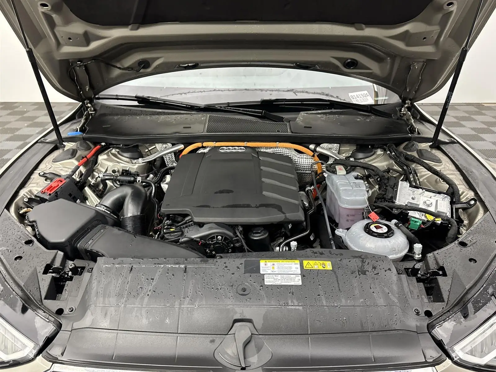 image-19