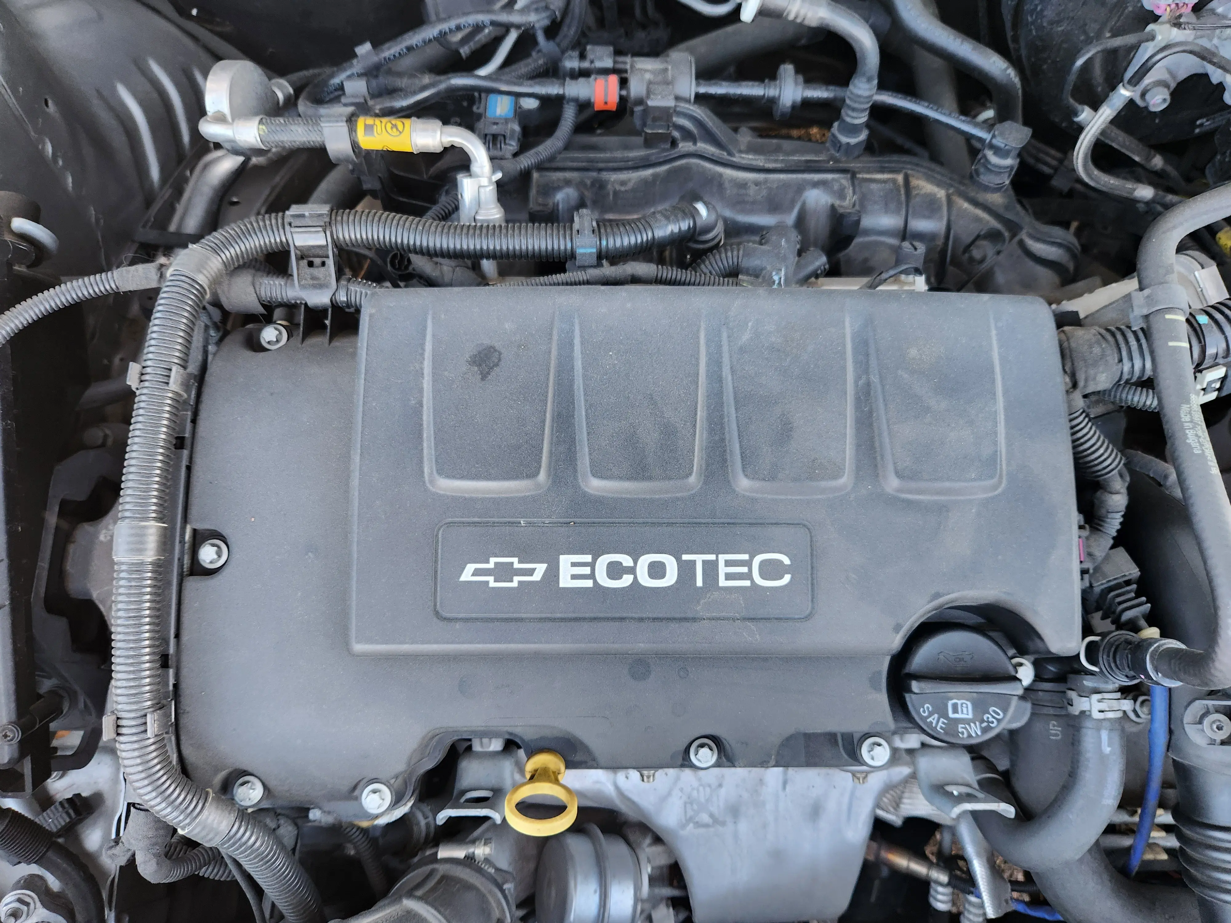 image-13