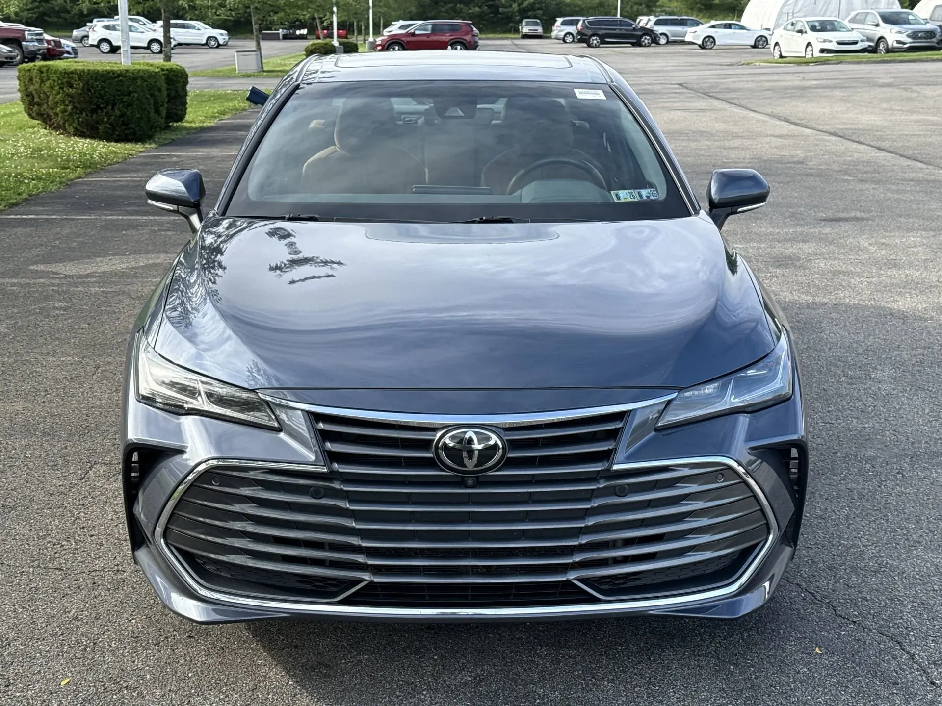 image-7