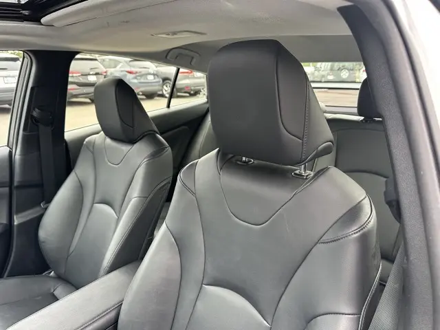 image-11