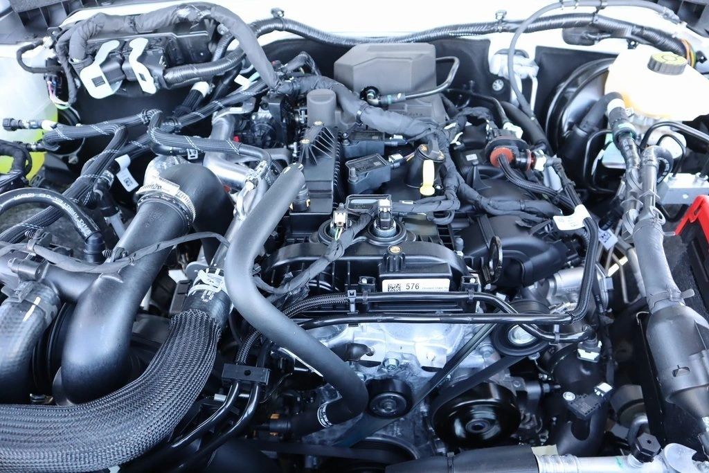 image-19