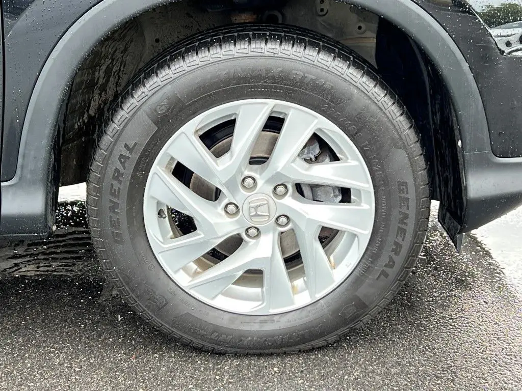 image-7