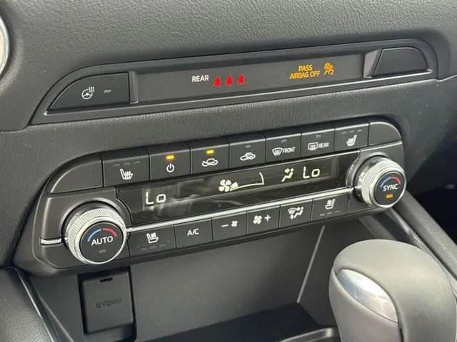 image-19