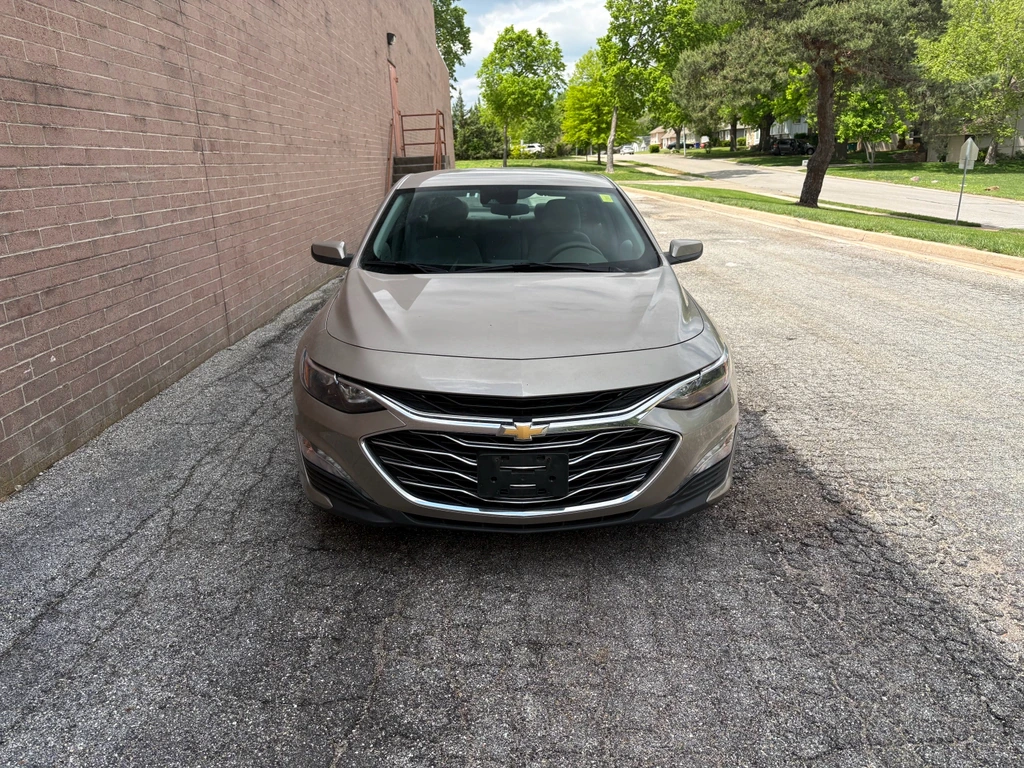 image-7