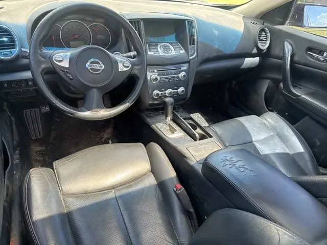image-11