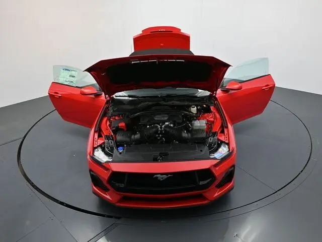 image-33