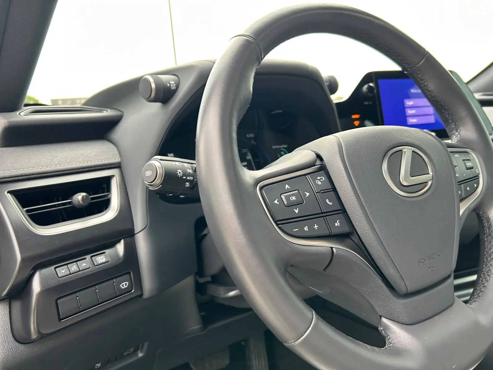 2025 Lexus UX F SPORT Design photo 19