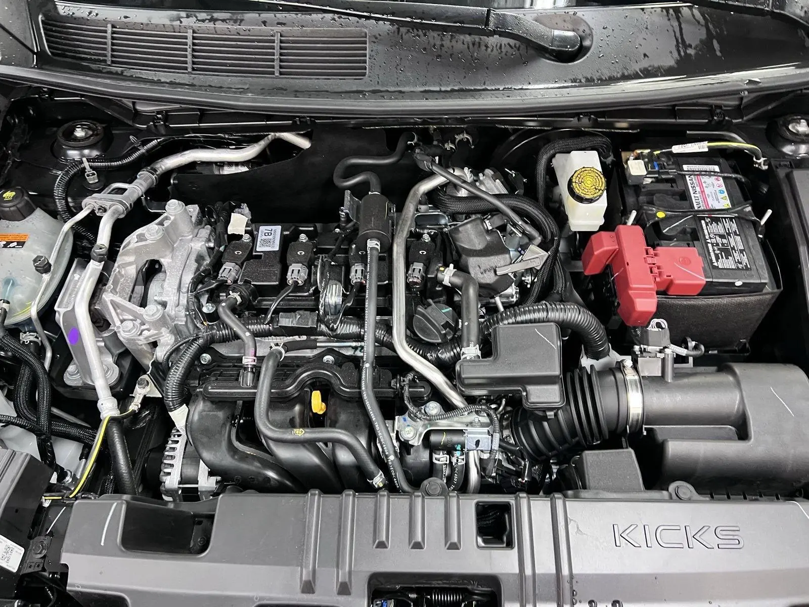 image-7