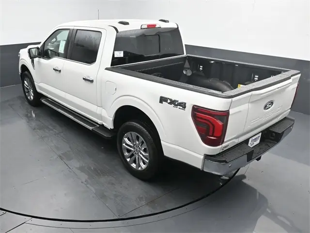 image-19