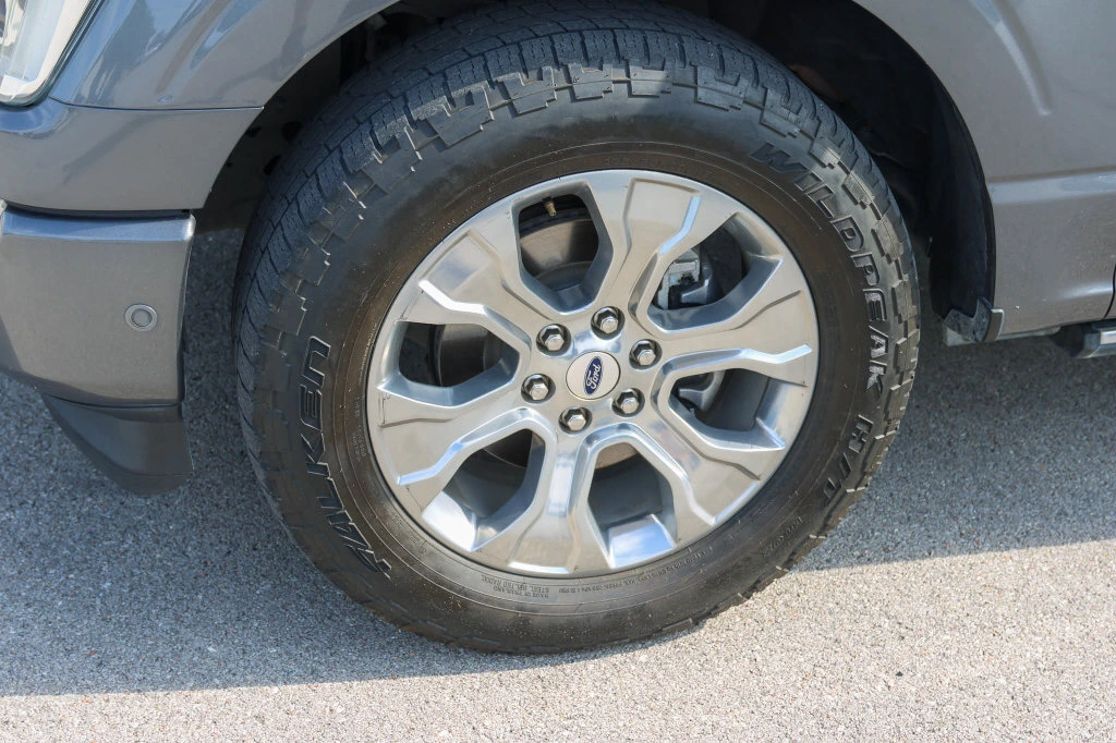 2021 Ford F-150 Platinum - Photo 7