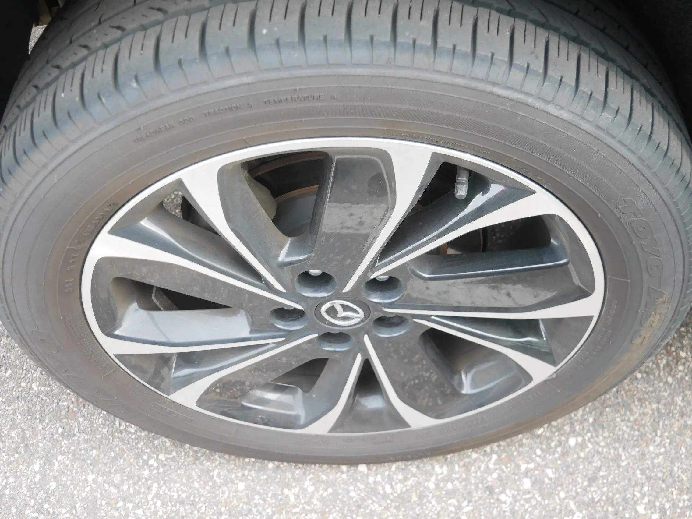 image-4