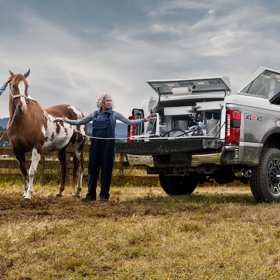 open bed on ford F-250 working horses