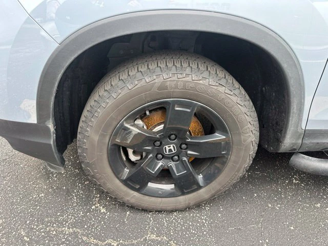 Photo 19