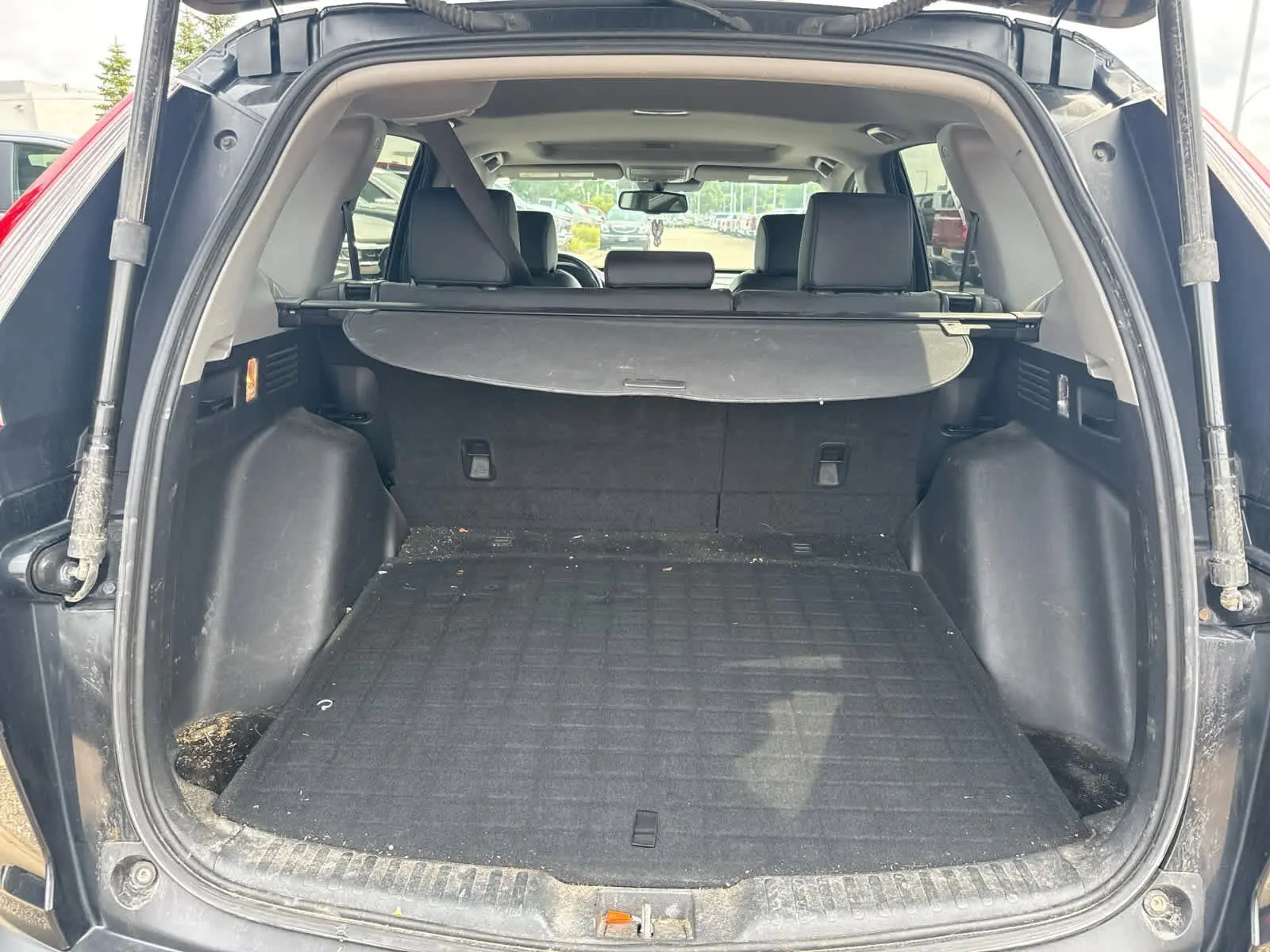 image-5