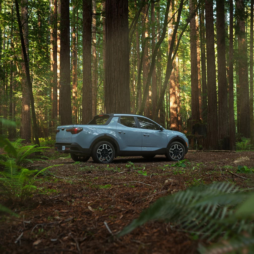 Light teal Hyundai Santa Cruz sitting in an idyllic forest.