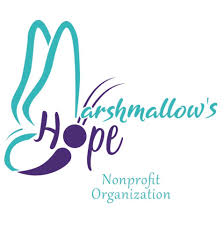 Blog Cover Image