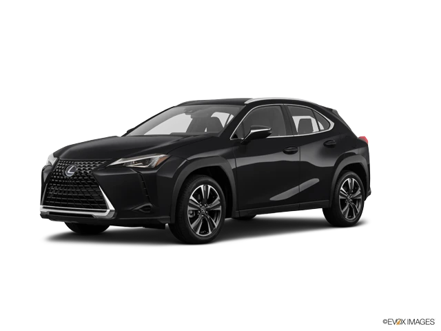 2024 Lexus UX 300h 250h's photo