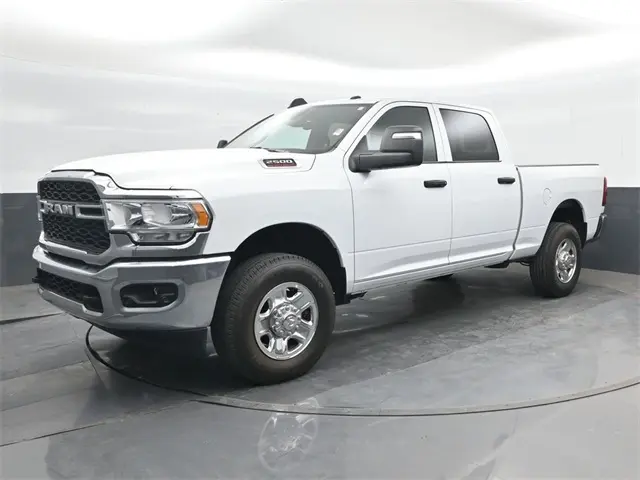 image-7