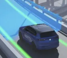 (RDM)