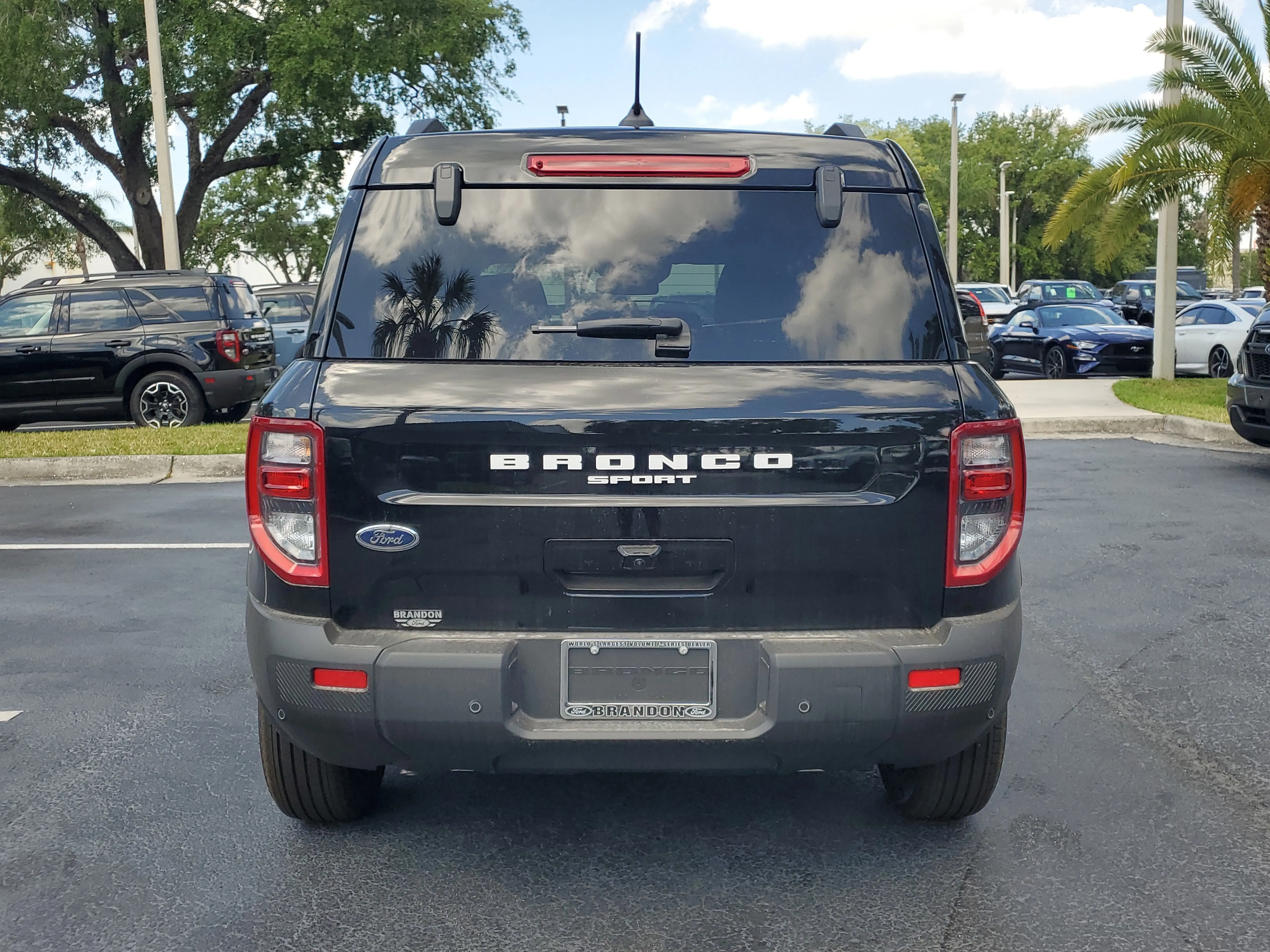 image-7