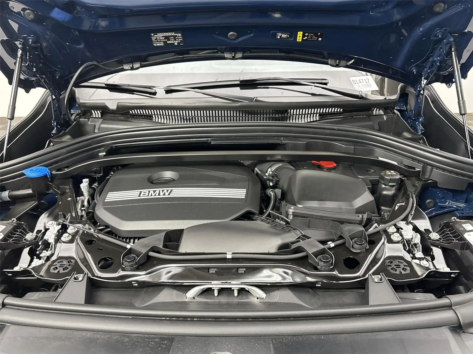 image-19