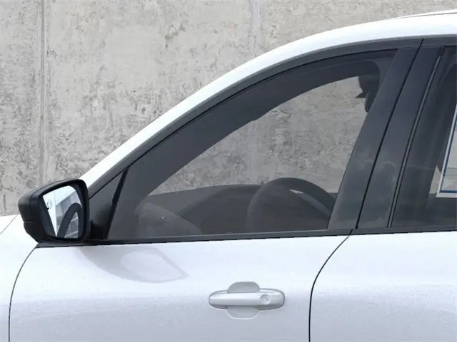 image-19