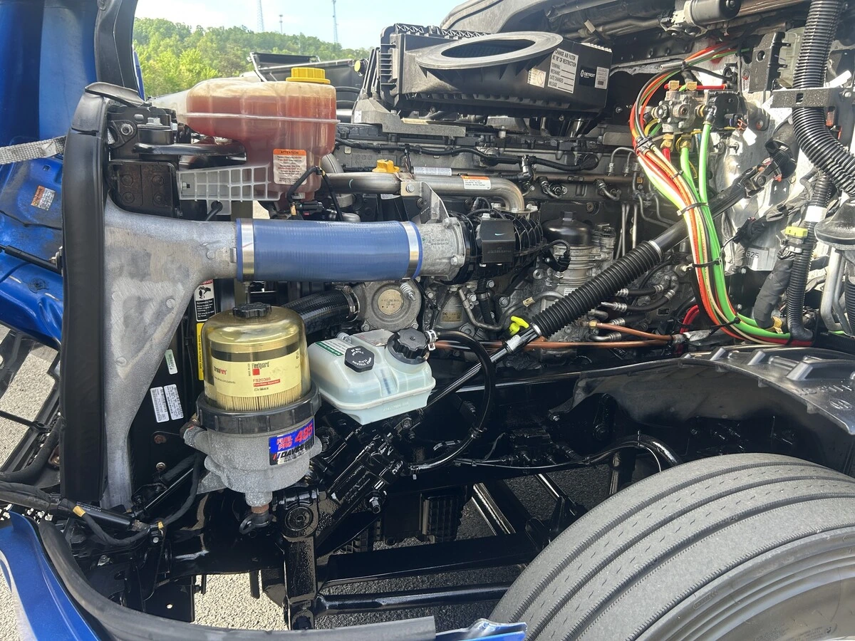image-8