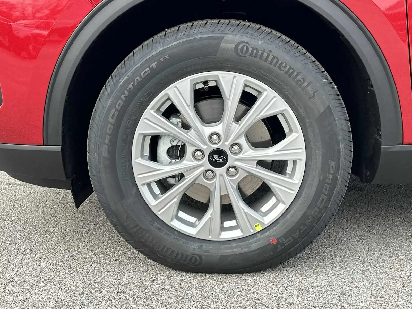 image-9