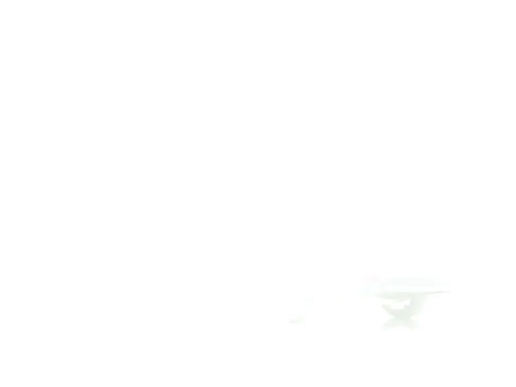 image-50