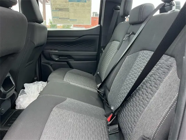image-19