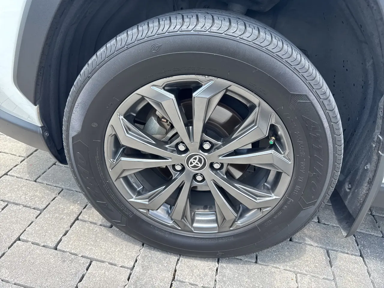image-7