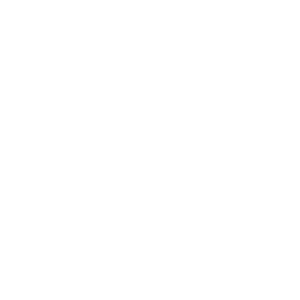 Lincoln-oem_logo
