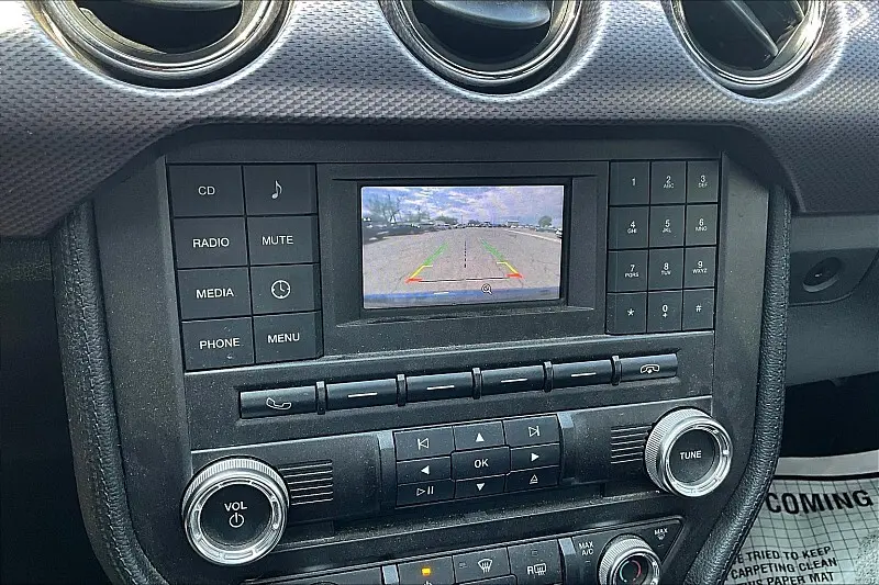 image-19