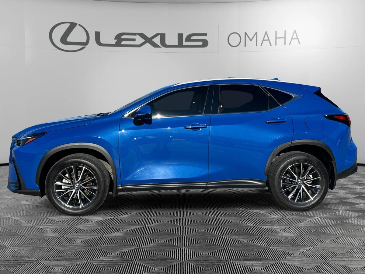 2024 Lexus NX 350's photo