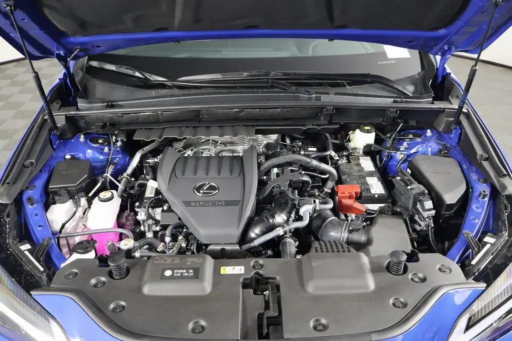 image-8